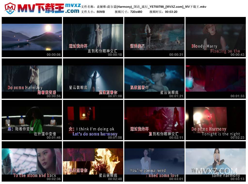 袁娅维-荷尔蒙(Harmony)_国语_流行_YE700788